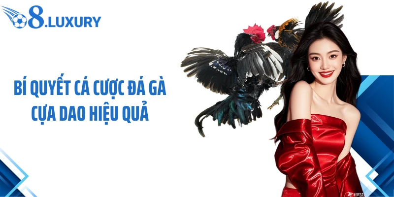 Đá Gà Cựa Dao O8 - Trải Nghiệm Cá Cược Hấp Dẫn Nhất 2026 4 Bí quyết cá cược đá gà cựa dao hiệu quả