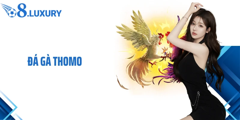 Đá Gà Thomo- Trải Nghiệm Cá Cược Hấp Dẫn Đỉnh Cao